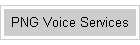 PNG Voice Services